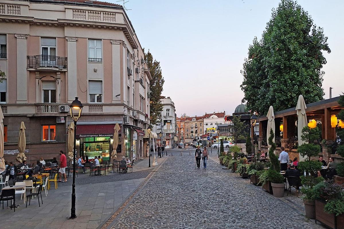 Apartman Skadarlija Discovery Centar Lux *